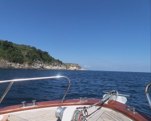 The view from our boat, before things got reckless.
