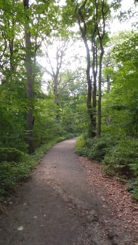 An image for Forest Park