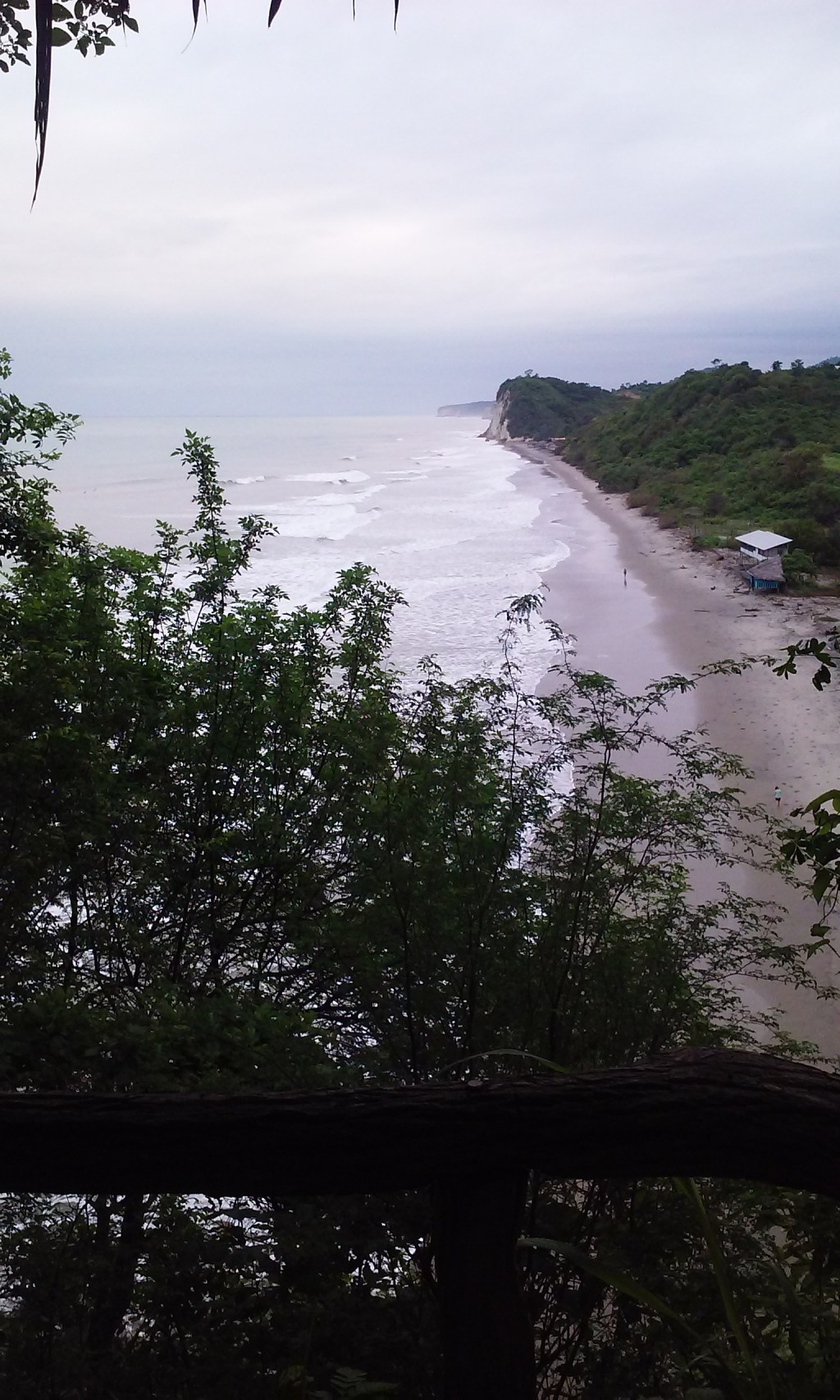 Hasta Luego, Ecuador