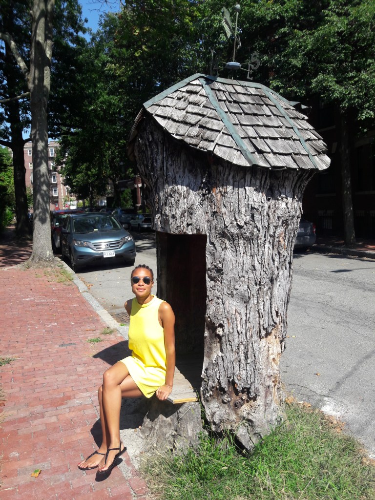 Sitting in a tree carved out in the shape of a home while wearing a yellow mini dress.