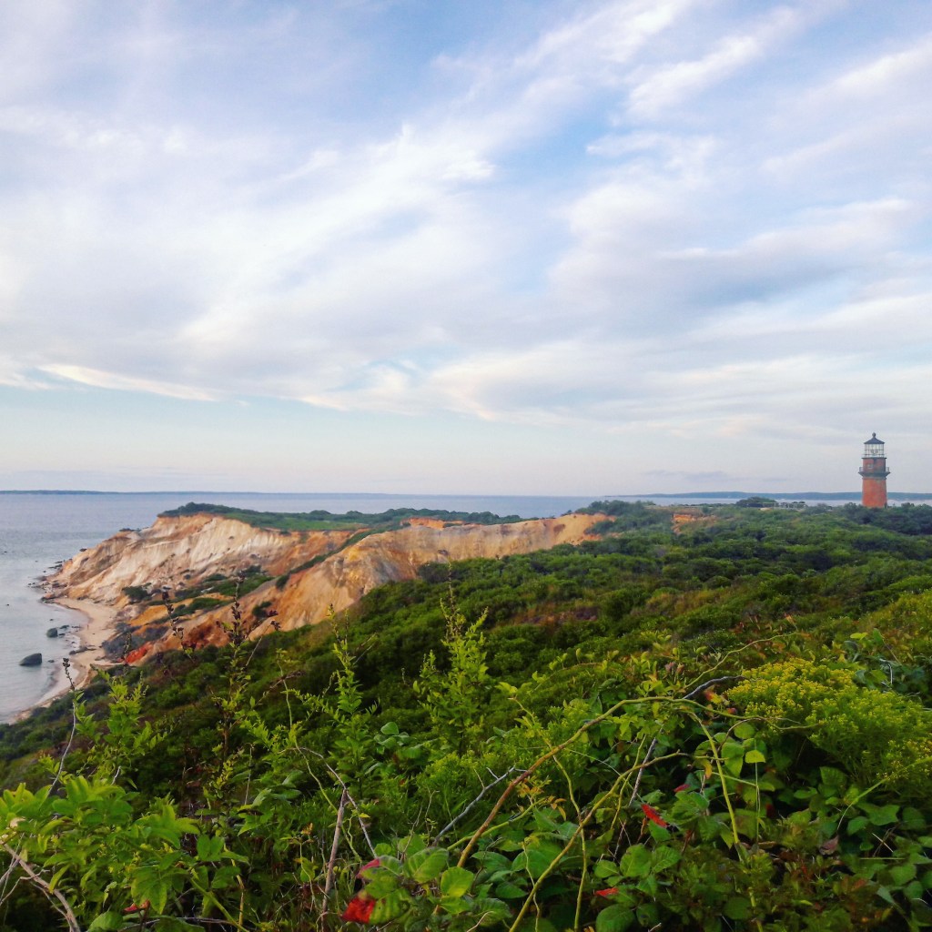 Bluffs and lighthouse in the distance in Martha's Vineyard.