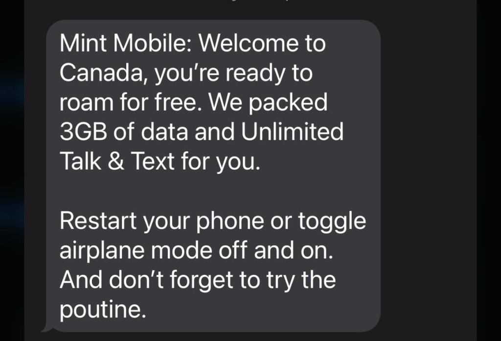 Using Your Phone As A Digital Nomad or Traveler (A Brief Review of MintMobile and MobiMatter eSim)